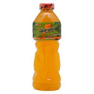 Isotônico Gatorade tangerina pet 500ml.