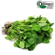 Agrião orgânico maço 100g